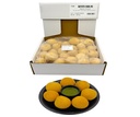 R1B VPK Round Batata Vada