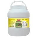 [DPRY:PST:67509G7] Gongura Paste